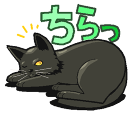 kuroneko akari sticker #1967954