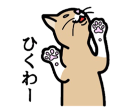 Cat of Kansai sticker #1970447