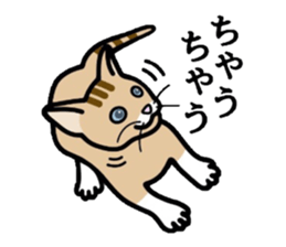 Cat of Kansai sticker #1970450