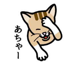 Cat of Kansai sticker #1970455