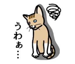 Cat of Kansai sticker #1970457