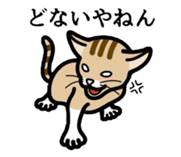 Cat of Kansai sticker #1970466