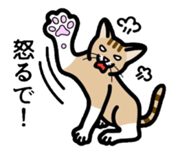 Cat of Kansai sticker #1970467
