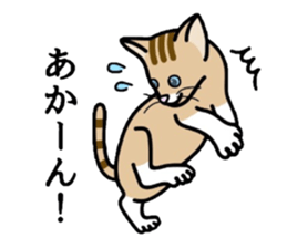 Cat of Kansai sticker #1970468