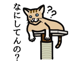 Cat of Kansai sticker #1970469