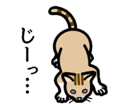 Cat of Kansai sticker #1970470