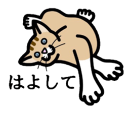 Cat of Kansai sticker #1970471