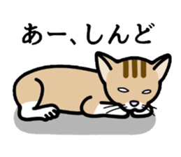 Cat of Kansai sticker #1970475