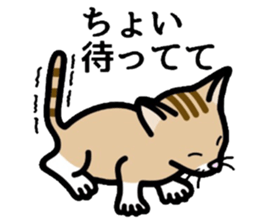 Cat of Kansai sticker #1970478