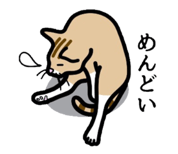 Cat of Kansai sticker #1970479
