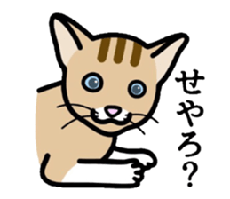 Cat of Kansai sticker #1970480