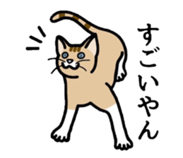 Cat of Kansai sticker #1970482