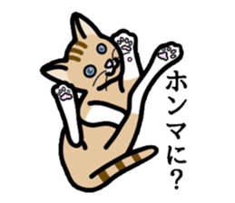 Cat of Kansai sticker #1970483