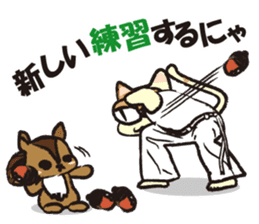 capoeira cat "chaco" sticker #1970742