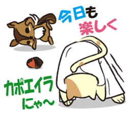 capoeira cat "chaco" sticker #1970748