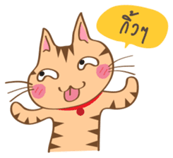 Aeaw & Evemeo Cat Lover sticker #1971564