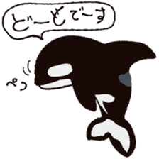 The child of an active killer whale sticker #1974565