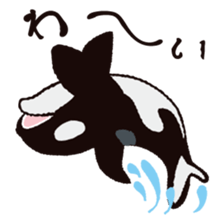 The child of an active killer whale sticker #1974566