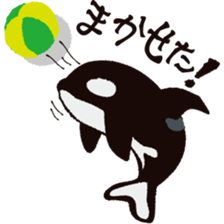 The child of an active killer whale sticker #1974569