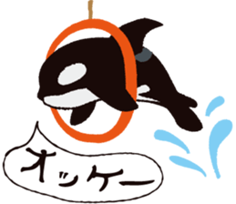 The child of an active killer whale sticker #1974572