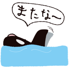 The child of an active killer whale sticker #1974573