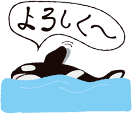 The child of an active killer whale sticker #1974575