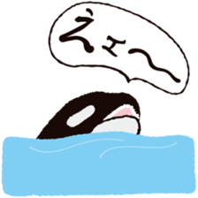 The child of an active killer whale sticker #1974577