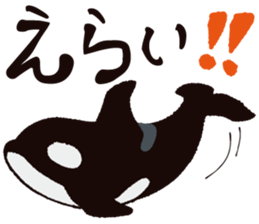 The child of an active killer whale sticker #1974586