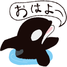 The child of an active killer whale sticker #1974588