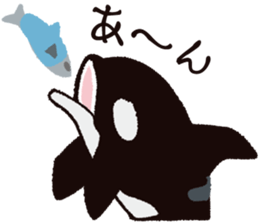 The child of an active killer whale sticker #1974589
