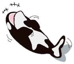 The child of an active killer whale sticker #1974591