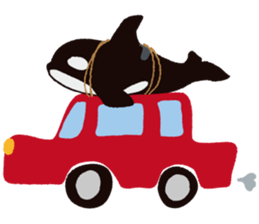 The child of an active killer whale sticker #1974597