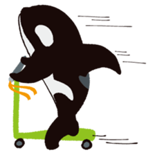 The child of an active killer whale sticker #1974599