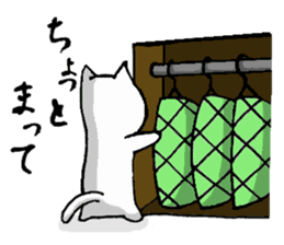 Tortoise cat sticker #1978566