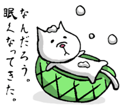 Tortoise cat sticker #1978571