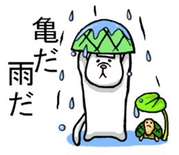 Tortoise cat sticker #1978581