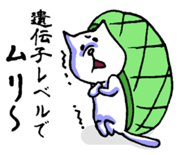 Tortoise cat sticker #1978587