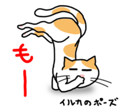 yoga cats sticker #1983867