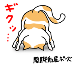 yoga cats sticker #1983871