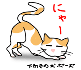 yoga cats sticker #1983883