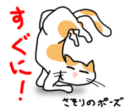 yoga cats sticker #1983884