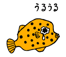 Friend of the sea sticker #1984737