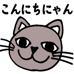 Gray cat that has been graffiti in note