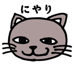 Gray cat that has been graffiti in note sticker #1986889