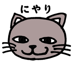 Gray cat that has been graffiti in note sticker #1986889