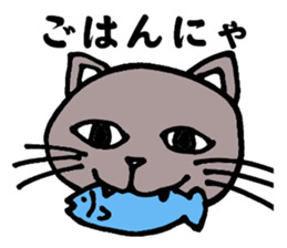 Gray cat that has been graffiti in note sticker #1986903