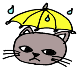 Gray cat that has been graffiti in note sticker #1986908