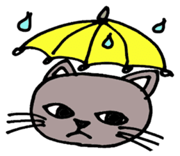 Gray cat that has been graffiti in note sticker #1986908