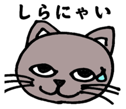 Gray cat that has been graffiti in note sticker #1986910