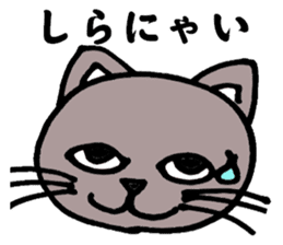 Gray cat that has been graffiti in note sticker #1986910